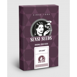 SUPER SKUNK Feminisierte Hanfsamen | Sensi Seeds